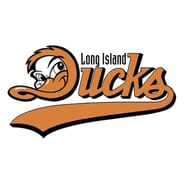 Long Island Ducks - Single Game Luxury Suite